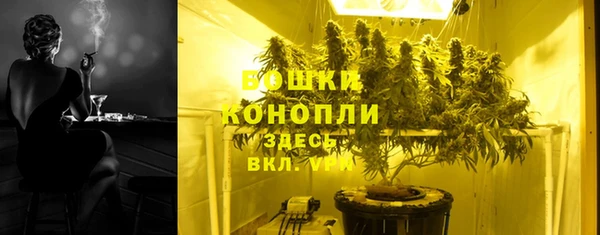 шишки Нягань
