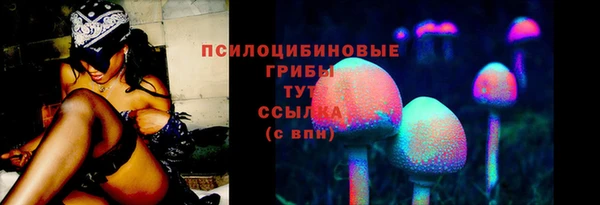 амф Абдулино