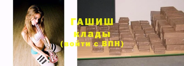 шишки Няндома