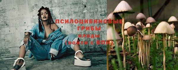 шишки Няндома