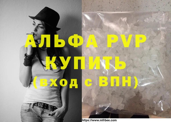 стаф Абинск