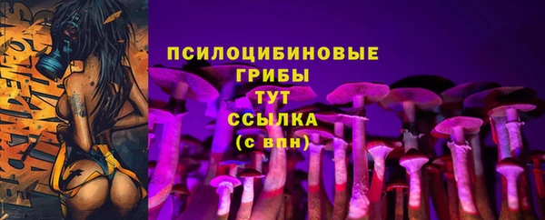 стаф Абинск