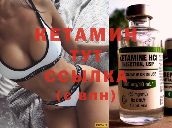 шишки Няндома