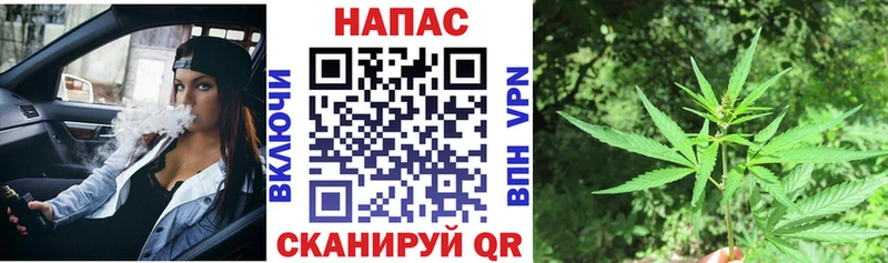 Канабис ГИДРОПОН  OMG зеркало  Дивногорск 